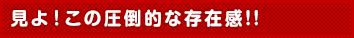見よ!この圧倒的な存在感!!