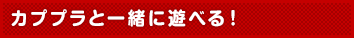 カププラと一緒に遊べる!