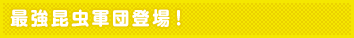最強昆虫軍団登場!