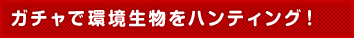 ガチャで環境生物をハンティング!