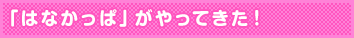 「はなかっぱ」がやってきた!