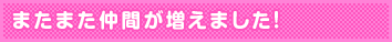 またまた仲間が増えました!