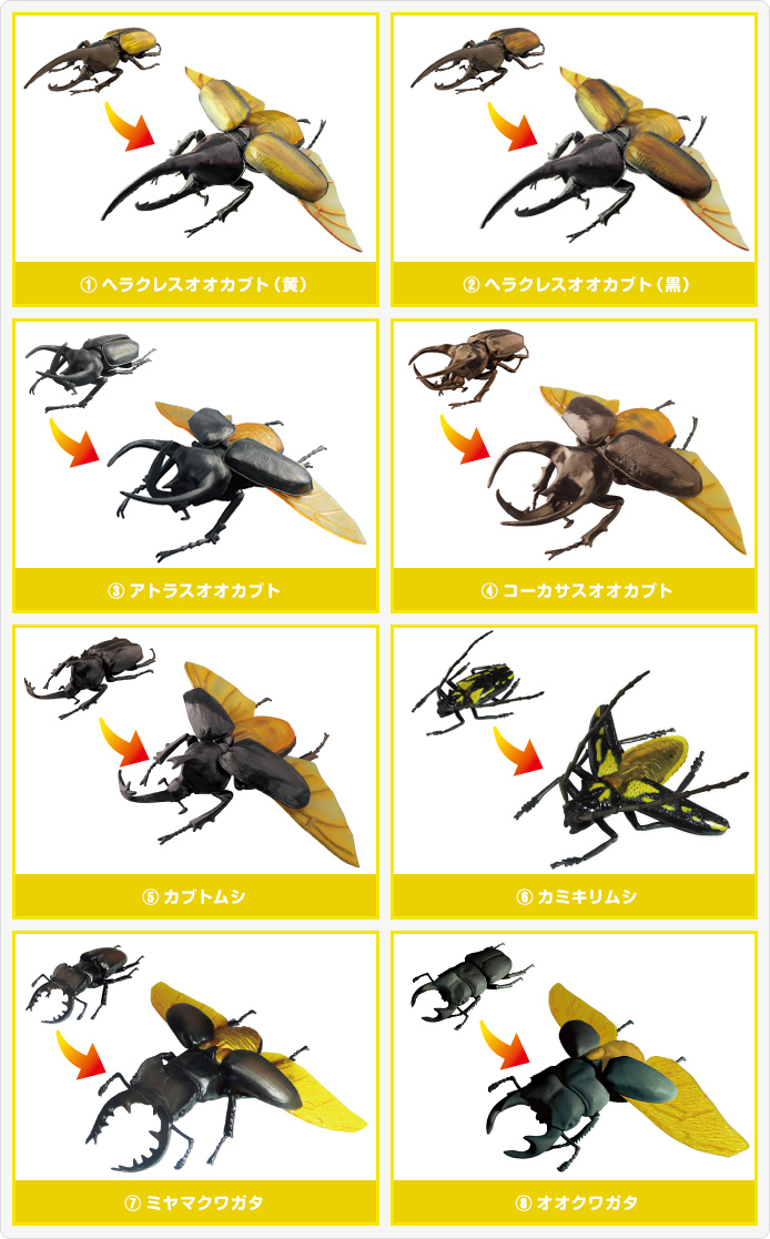 昆虫の森 カブトVSクワガタ大決戦!