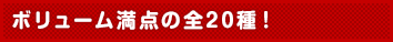 ボリューム満点の全20種!