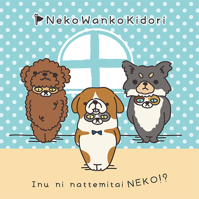 nekowankokidori