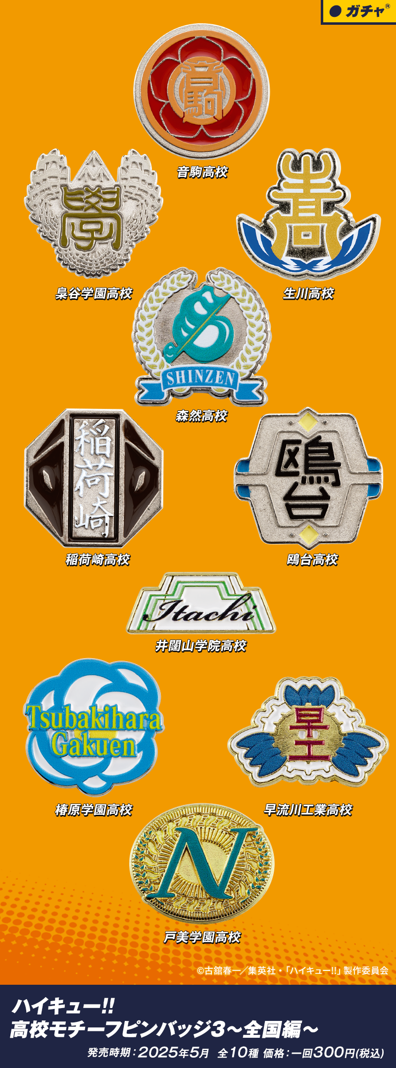 ハイキュー!! 高校モチーフピンバッジ3 〜全国編〜