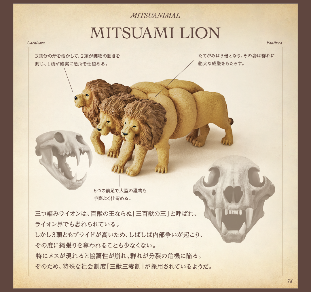 MITSUAMI LION