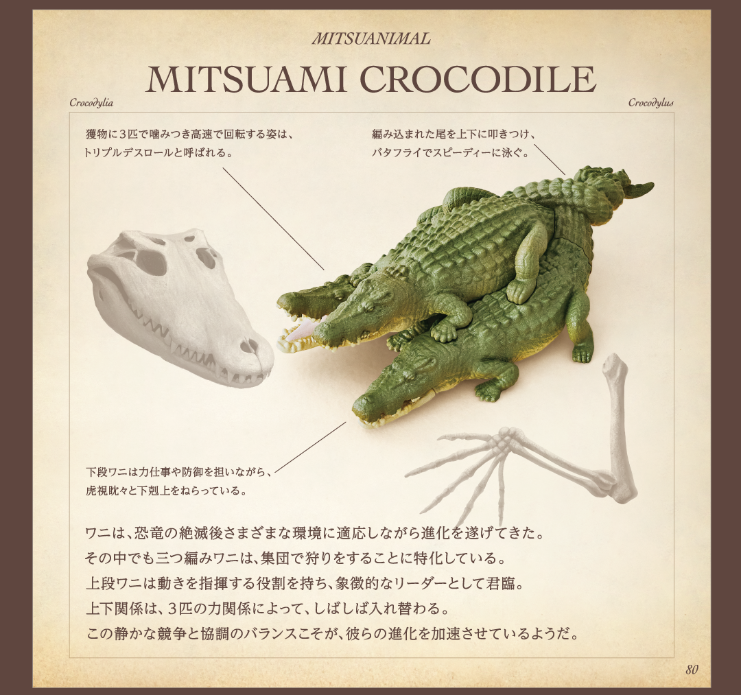 MITSUAMI CROCODILE